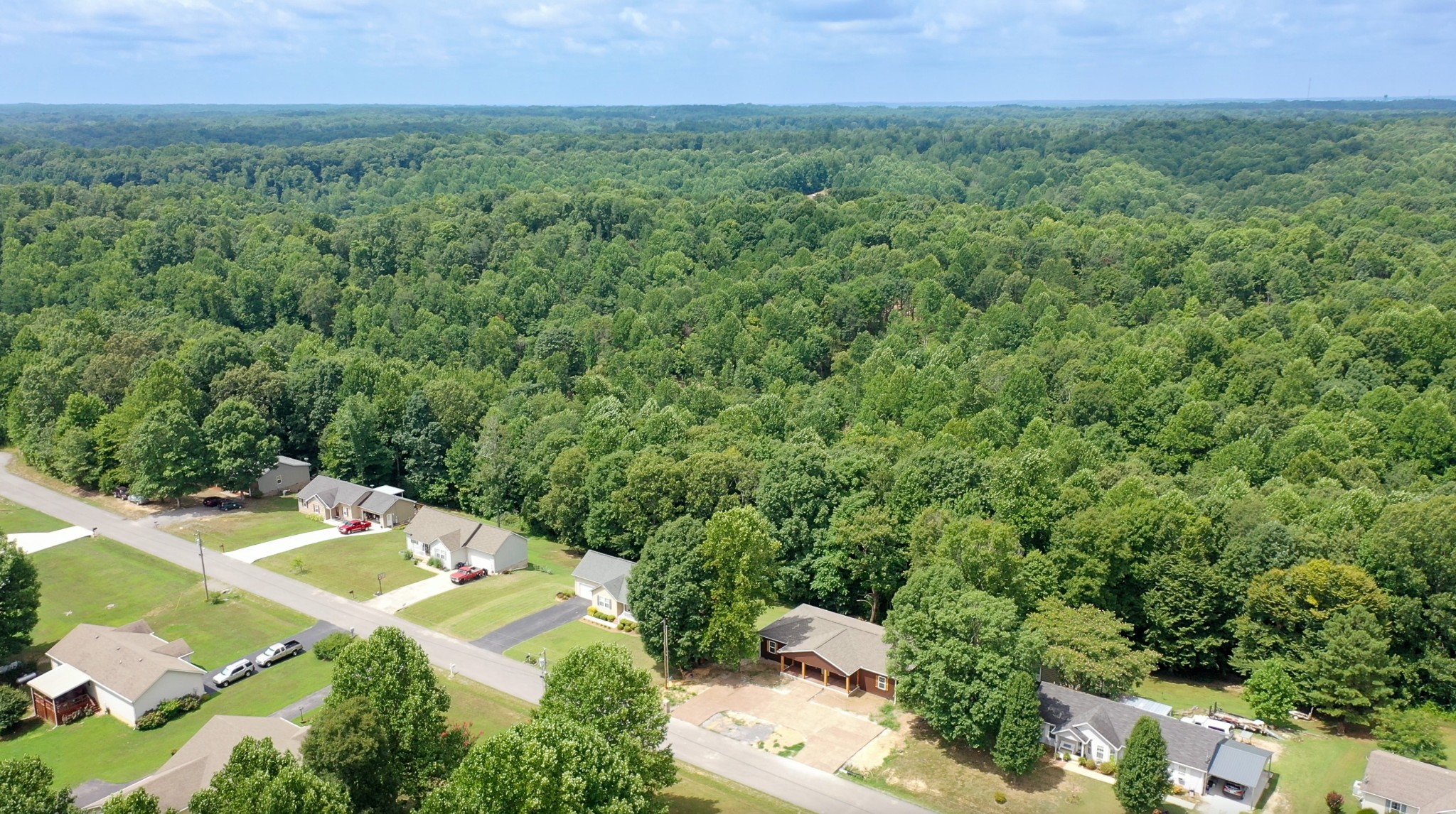 266 Lake Forrest Road Lynchburg, TN 37352 - Photo 5 of 40 a view of a backyard of the house
