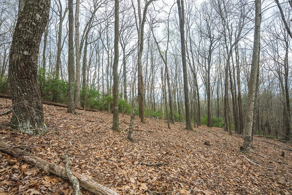 Tbd Cox Store Road Southwest Floyd, VA 24091 - Photo 23 of 27 Gallery Image 23