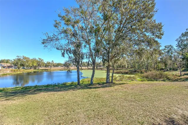 $499,000 | 3904 Sweetleaf Drive, Brandon, FL 33511