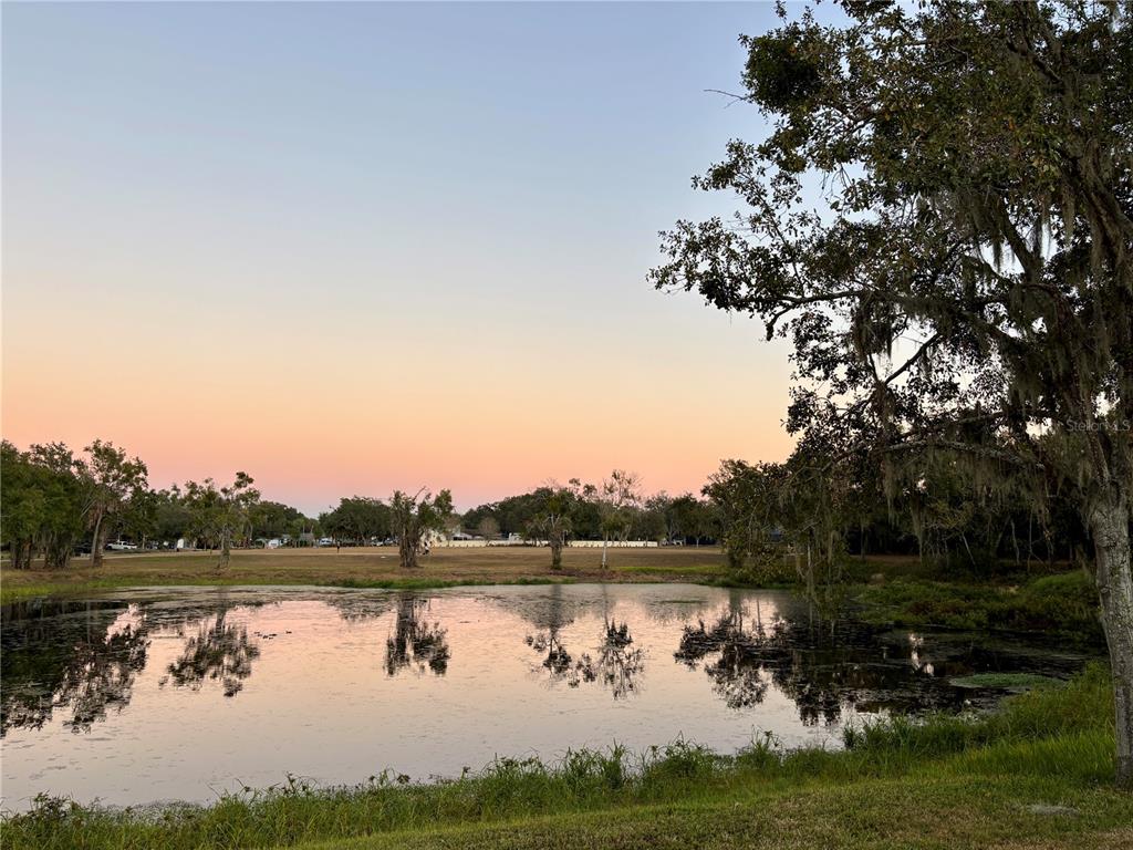 3904 Sweetleaf Drive Brandon, FL 33511 - Photo 13 of 34 a body of water with a tree in the background