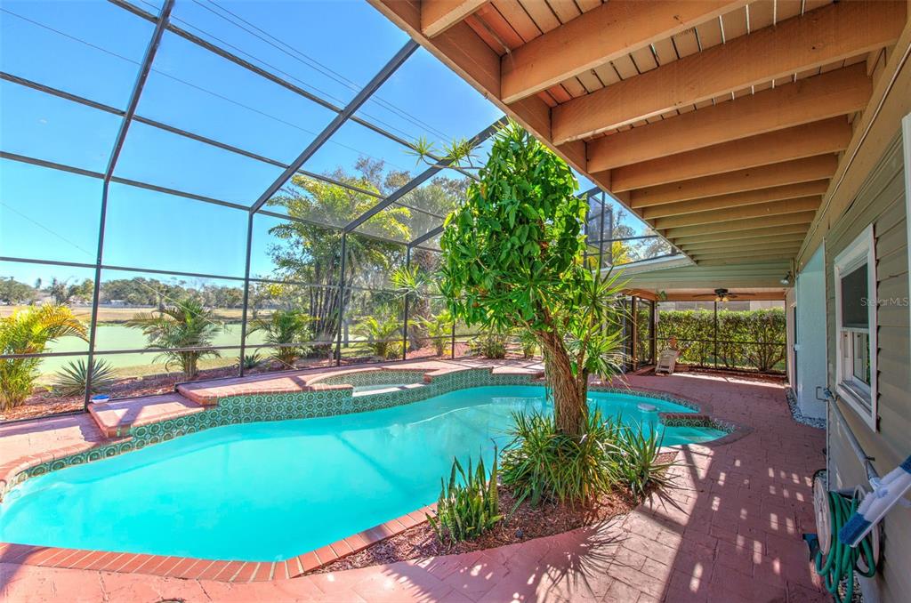 3904 Sweetleaf Drive Brandon, FL 33511 - Photo 56 of 66 a view of a backyard with a table and chairs