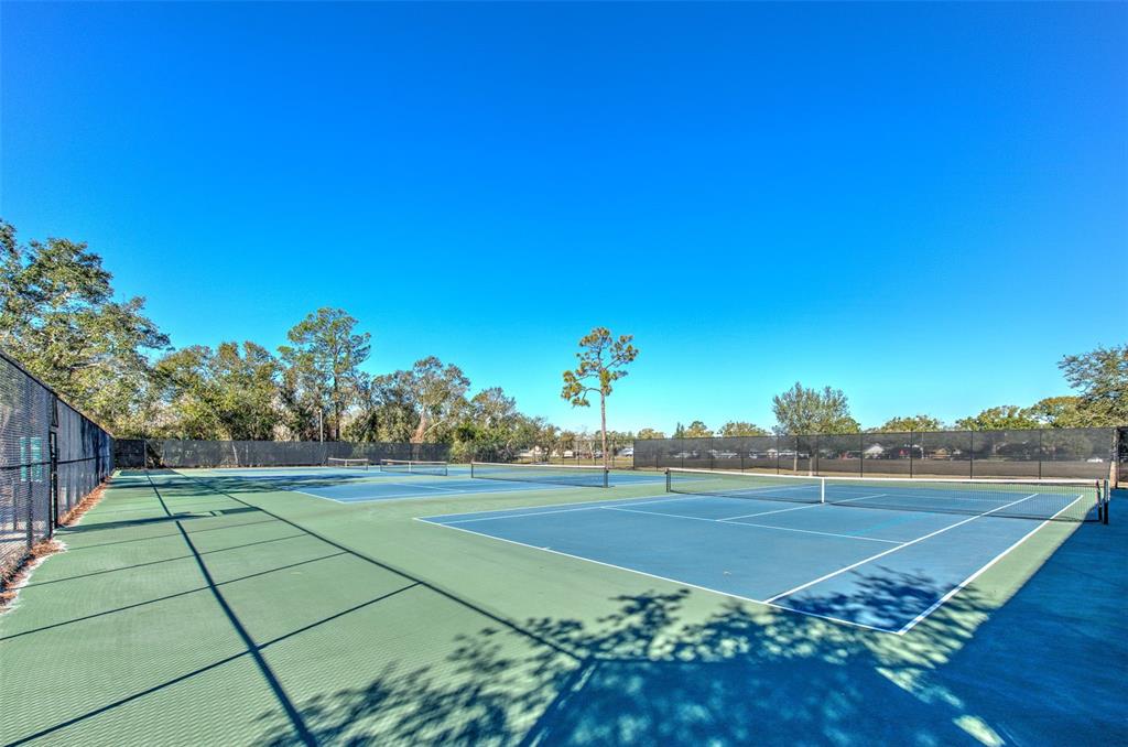 3904 Sweetleaf Drive Brandon, FL 33511 - Photo 63 of 66 a view of an outdoor space and tennis court