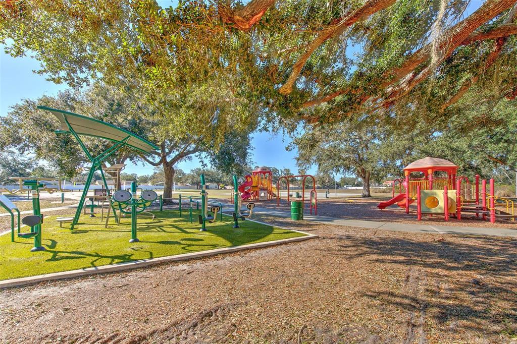 3904 Sweetleaf Drive Brandon, FL 33511 - Photo 64 of 66 a view of a park with large trees