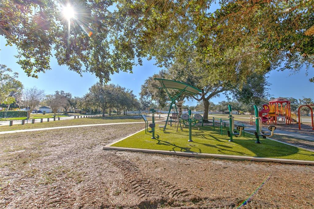 3904 Sweetleaf Drive Brandon, FL 33511 - Photo 65 of 66 a view of outdoor space with swimming pool and trees