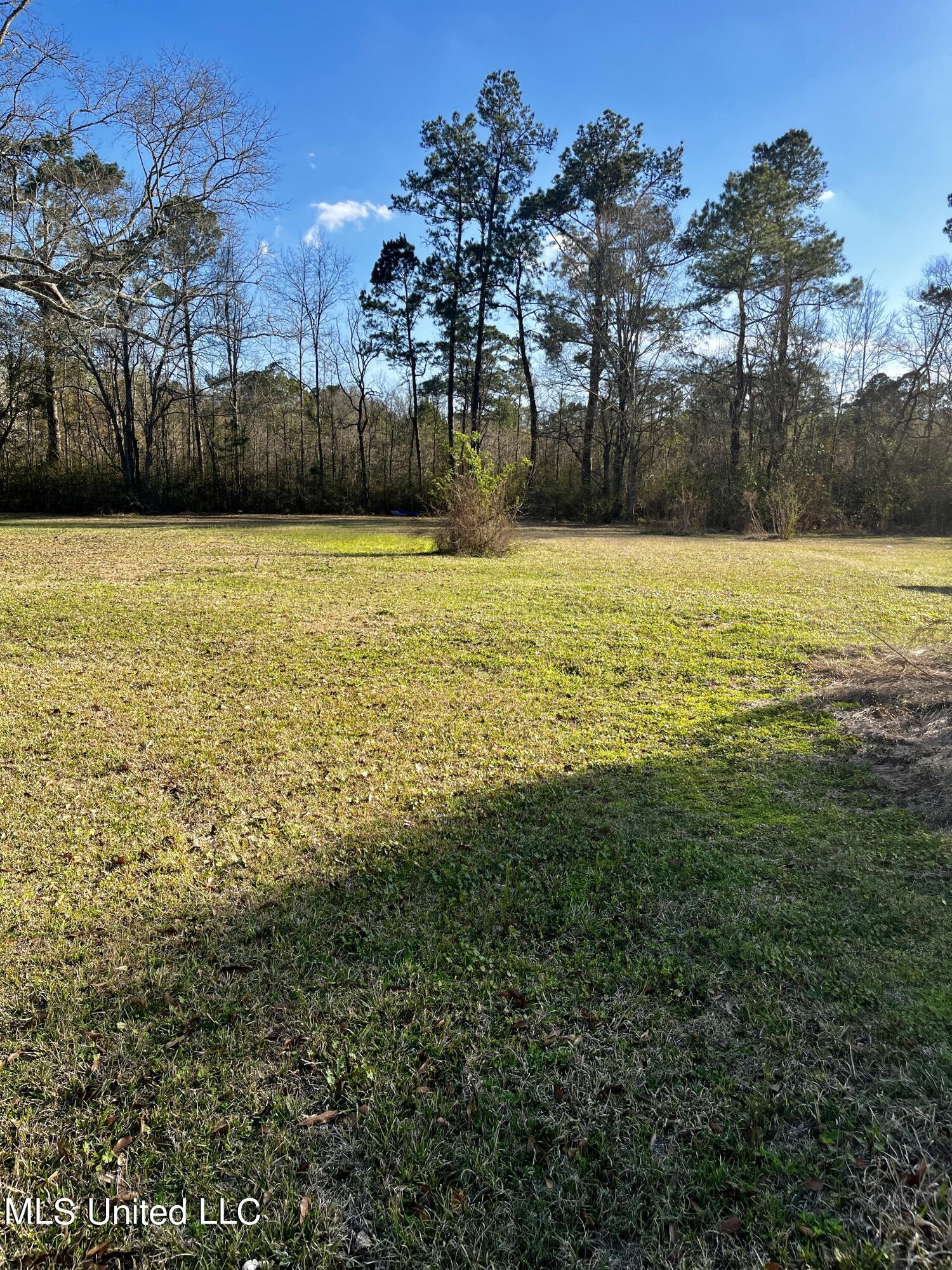 28 Davis Dawsey Road Picayune, MS 39466 - Photo 13 of 15 IMG_8662