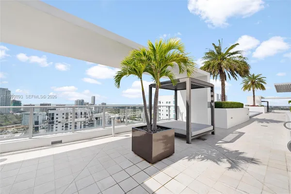 a view of a palm tree and outdoor space