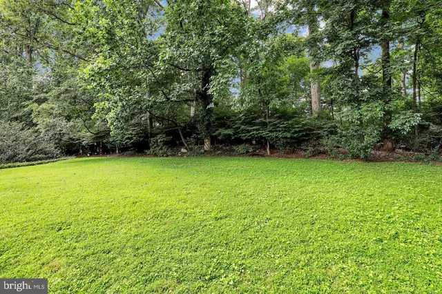 a view of a green field with trees in the background