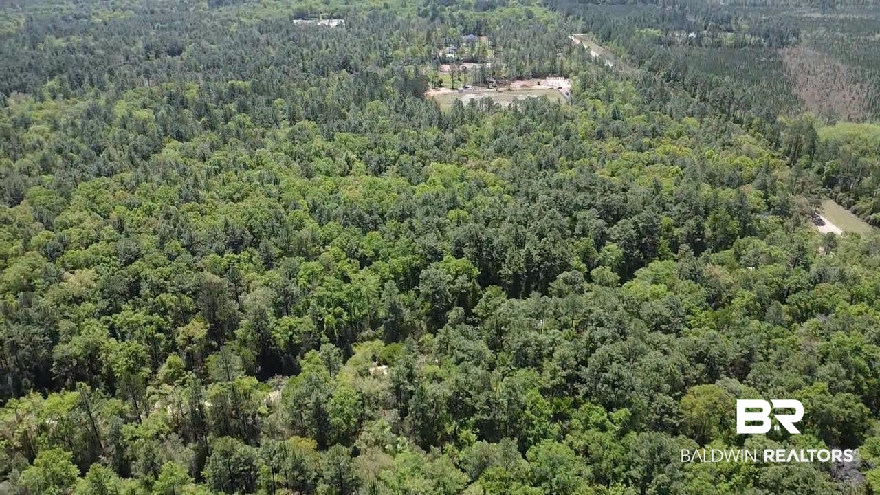 0 I-65 Service Road Creola, AL 36525 - Photo 16 of 20 Birds eye view of property featuring a wooded view