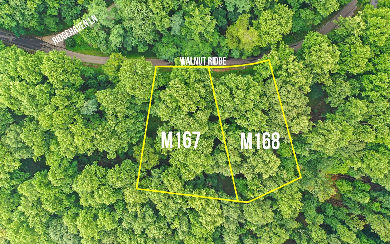 Walnut Ridge Ellijay, GA 30536 - Photo 3 of 4 Additional View