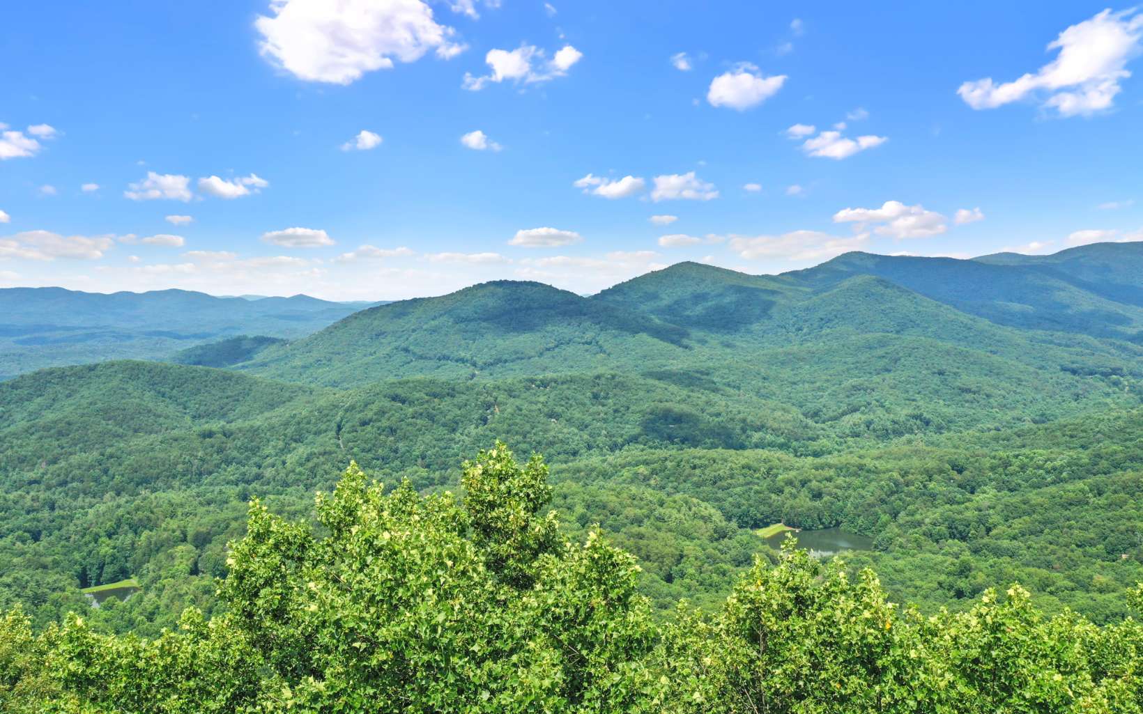 Walnut Ridge Ellijay, GA 30536 - Photo 4 of 4 Additional View