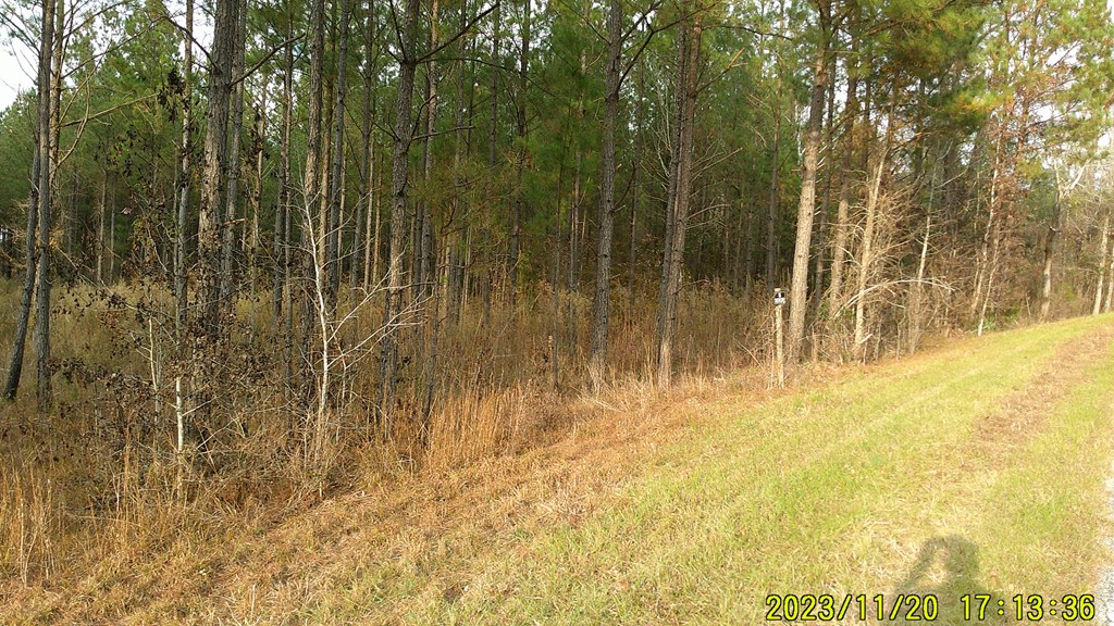 31-acres Upper Mill Road McCormick, SC 29835 - Photo 4 of 14