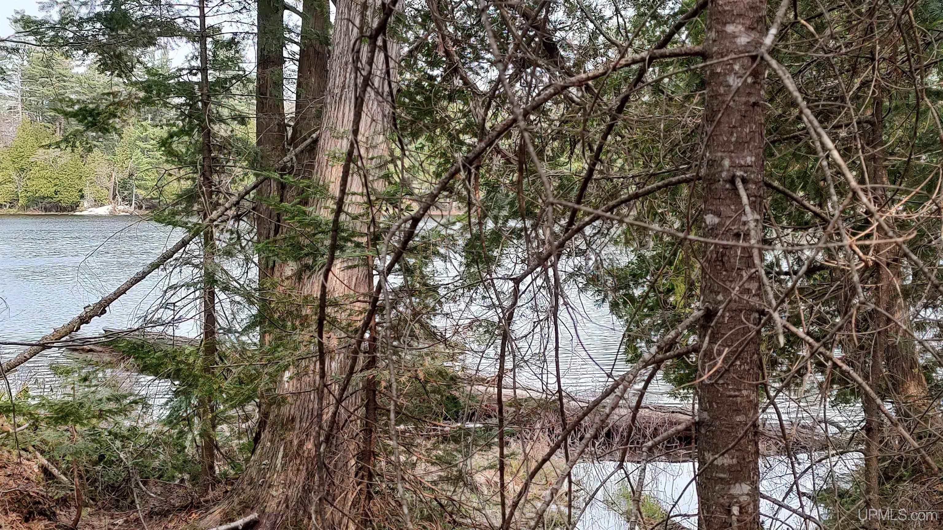 Tbd Tbd Durchman Lake Road Lanse, MI 49946 - Photo 20 of 56