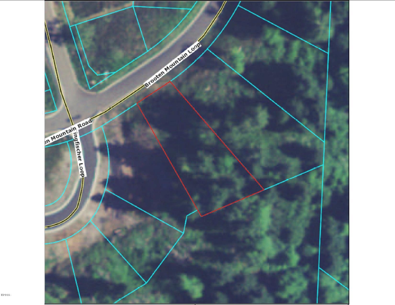 Lot 2 Brooten Mountain Road Pacific City, OR 97135 - Photo 9 of 11 Satellite Plat