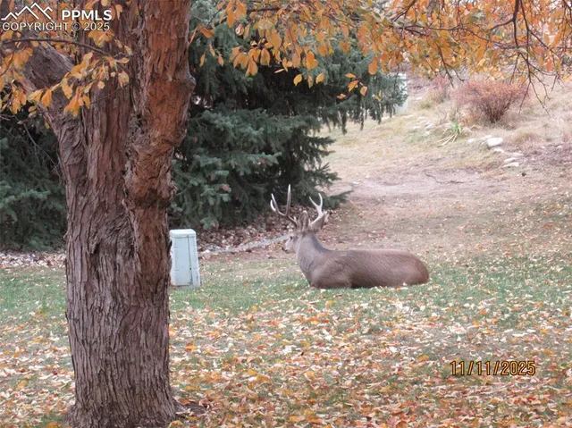 $300,000 | 290 Cobblestone Drive, Colorado Springs, CO 80906