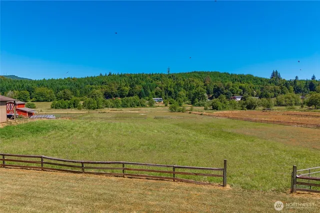 a view of a field with grass