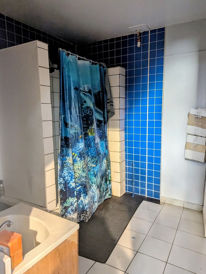 4805 South Elizabeth Street Chicago, IL 60609 - Photo 5 of 18 a view of bathroom