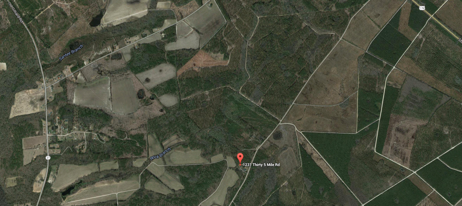 1231 Thirty Five Mile Road Ridgeville, SC 29472 - Photo 2 of 4 1231_thirtymile_land_phto