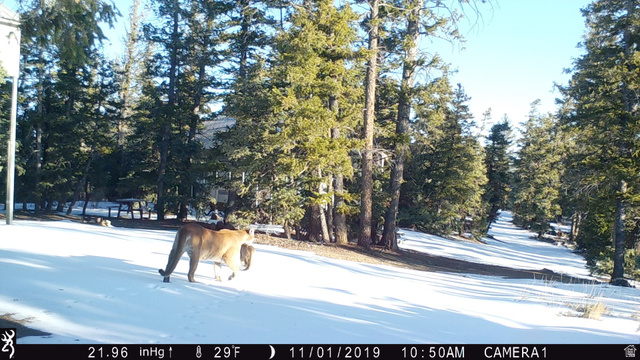 Undisclosed Address Duchesne, UT 84021 - Photo 22 of 29