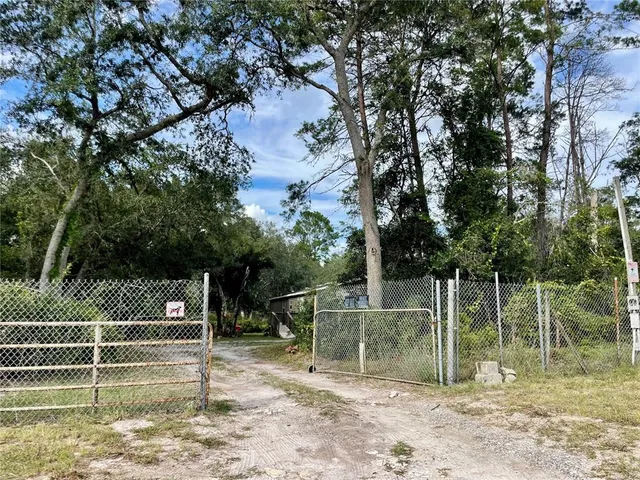 a view of a yard with plants and tree