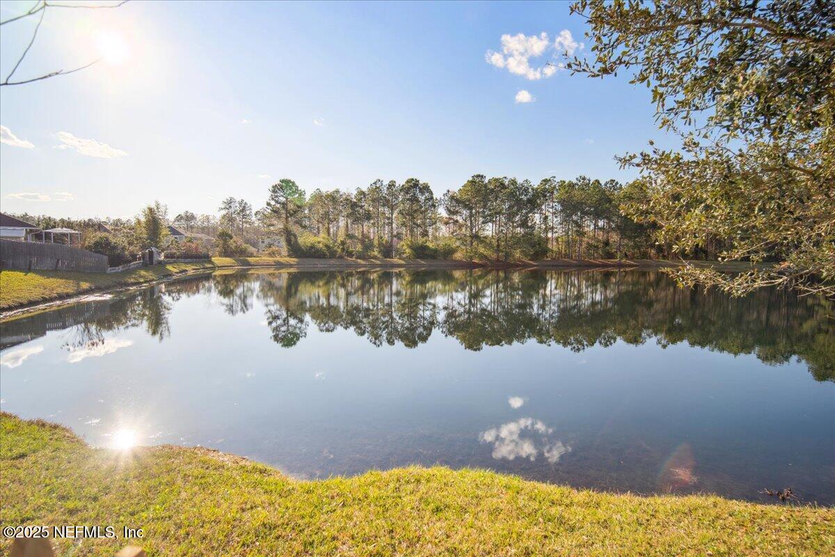 1672 Avenger Lane Jacksonville, FL 32221 - Photo 41 of 48 a view of a lake in middle of forest