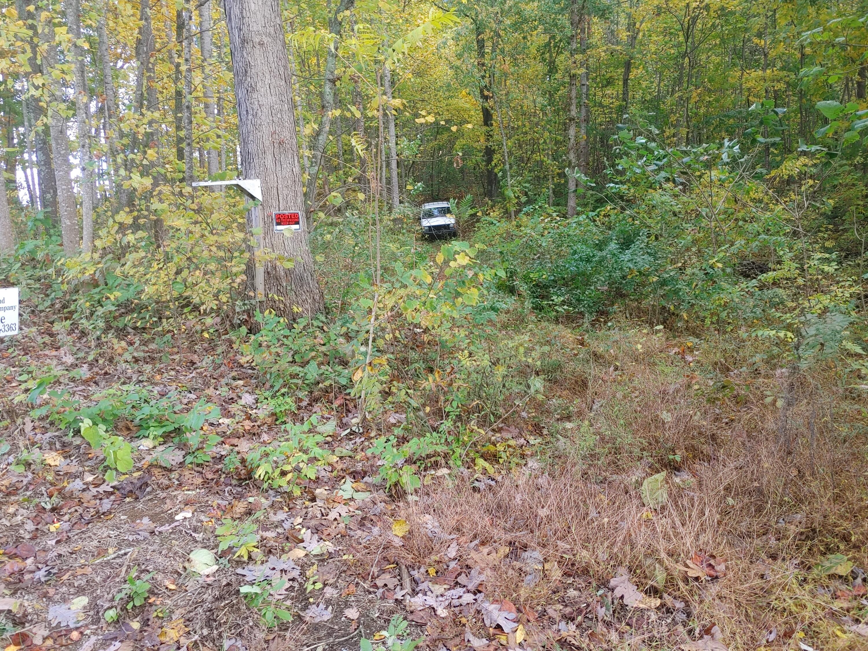 0 Conklin Road Jonesborough, TN 37659 - Photo 2 of 7 c2