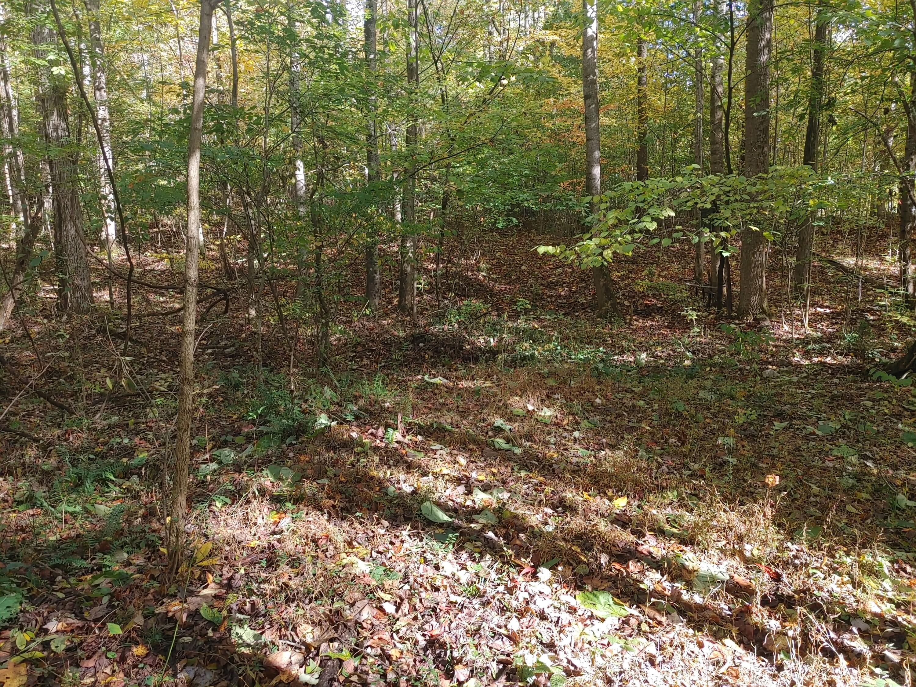 0 Conklin Road Jonesborough, TN 37659 - Photo 7 of 7 c7