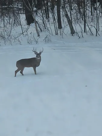 $500,000 | 3524 385th Avenue Northwest, Stanchfield, MN 55080