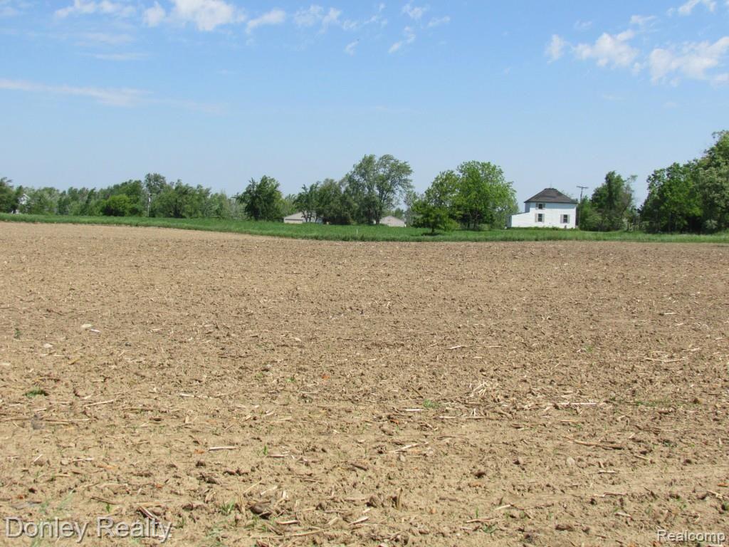 9999 Phillips Road Clifford, MI 48727 - Photo 3 of 12