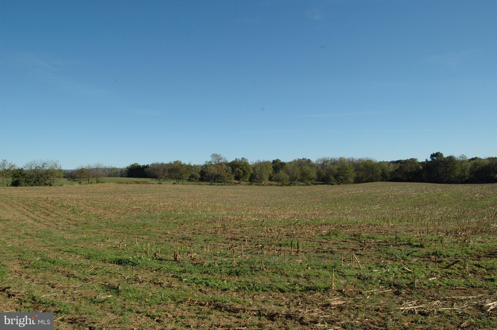 2823 Bishop Meade Road Boyce, VA 22620 - Photo 8 of 14 View