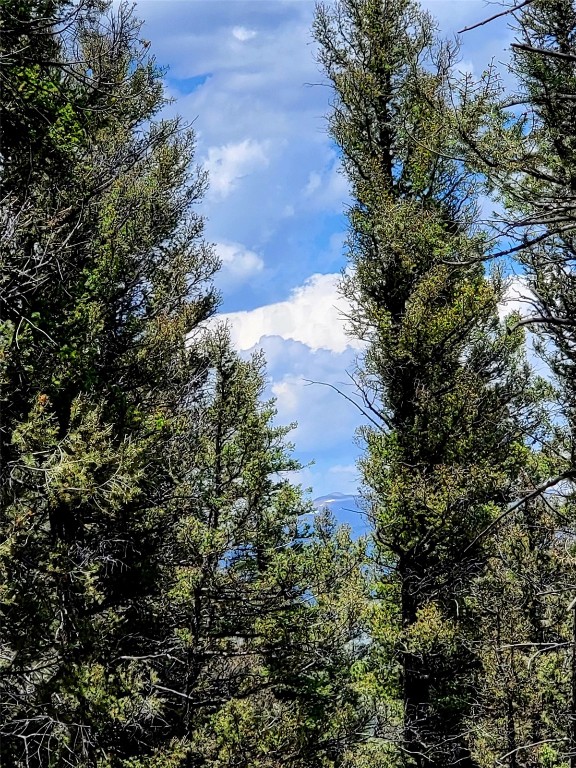 2799 Redhill Road Fairplay, CO 80440 - Photo 21 of 35 View of landscape