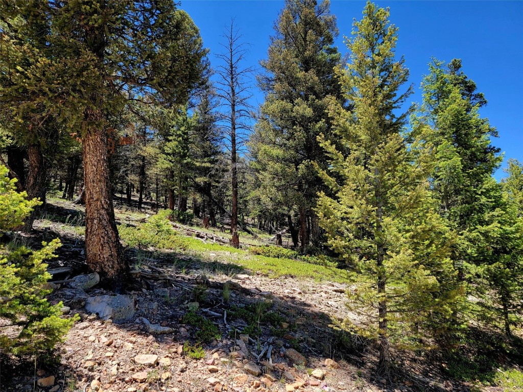 2799 Redhill Road Fairplay, CO 80440 - Photo 6 of 35 View of nature