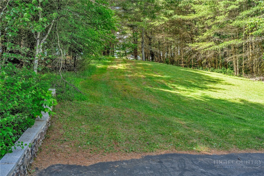 1324 Ripshin Road Troutdale, VA 24378 - Photo 37 of 48