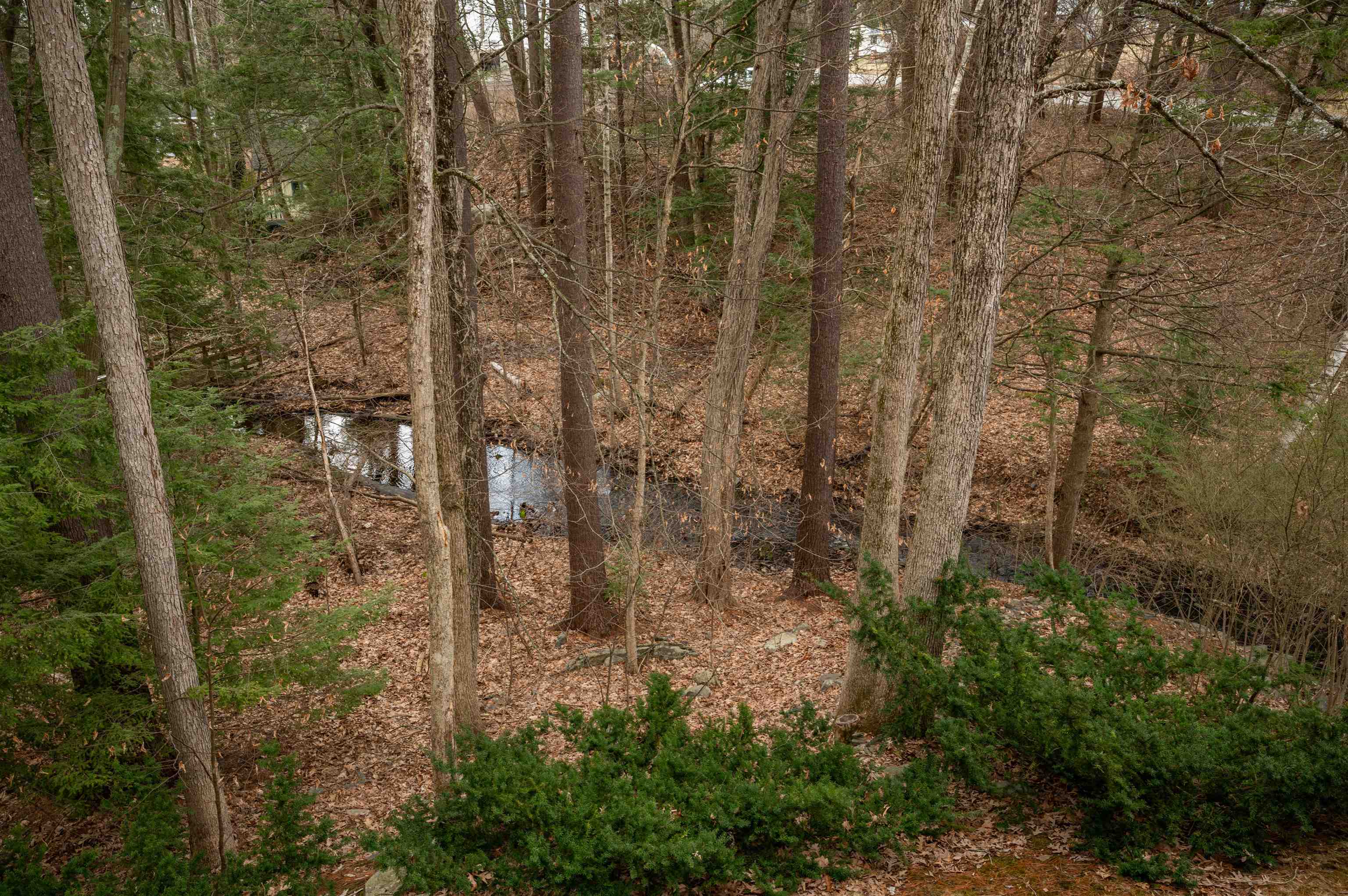 45 Pemberton Road Nashua, NH 03063 - Photo 30 of 37