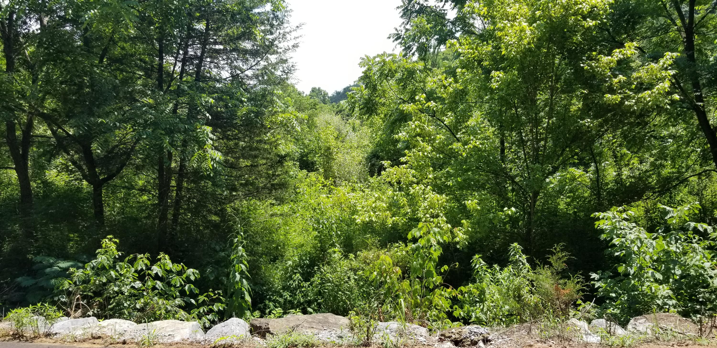 Tr-1 Providence Road Sevierville, TN 37876 - Photo 1 of 2 20190720_134321