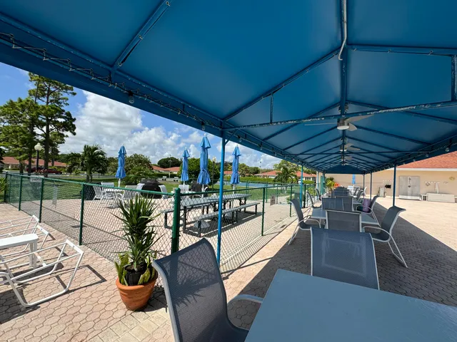a view of a lake with lawn chairs and a large tree