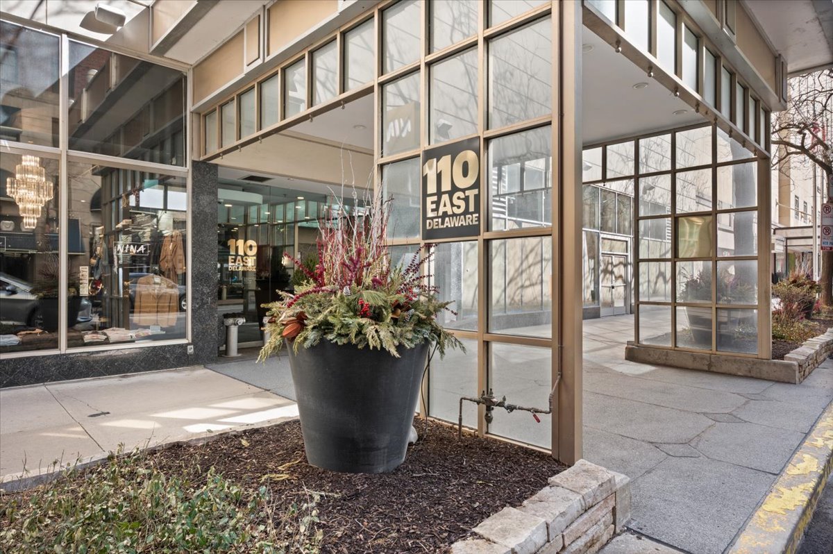 110 East Delaware Place, Unit 404 Chicago, IL 60611 - Photo 2 of 20