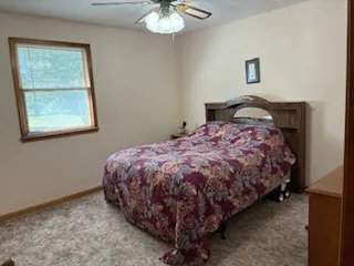 a view of dirt yard with a large tree