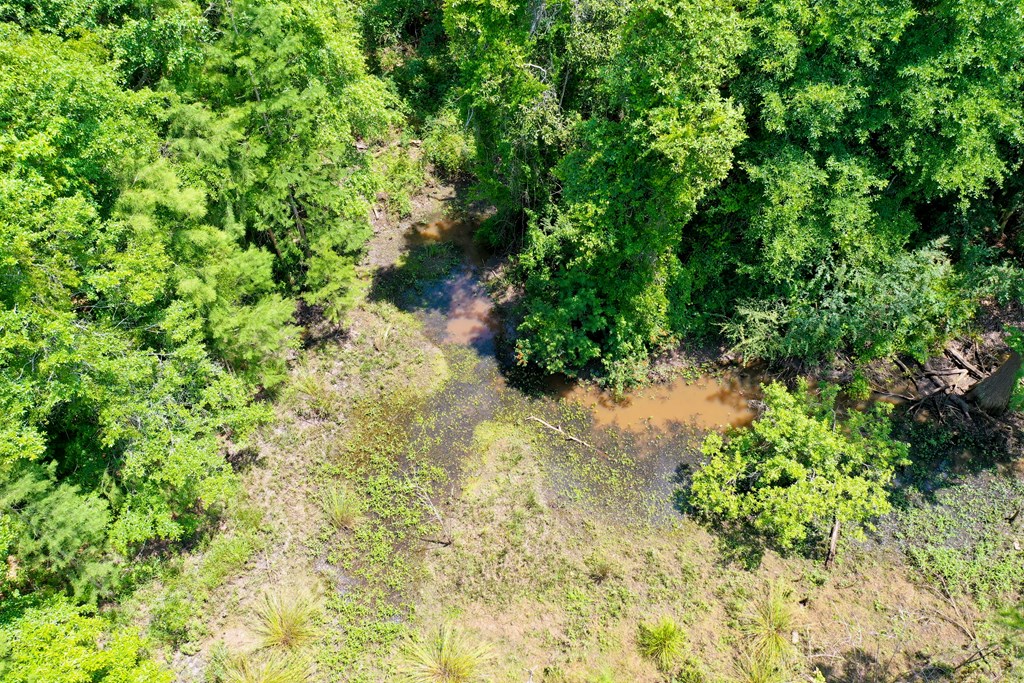 0 South Watford Road Slocomb, AL 36375 - Photo 8 of 14
