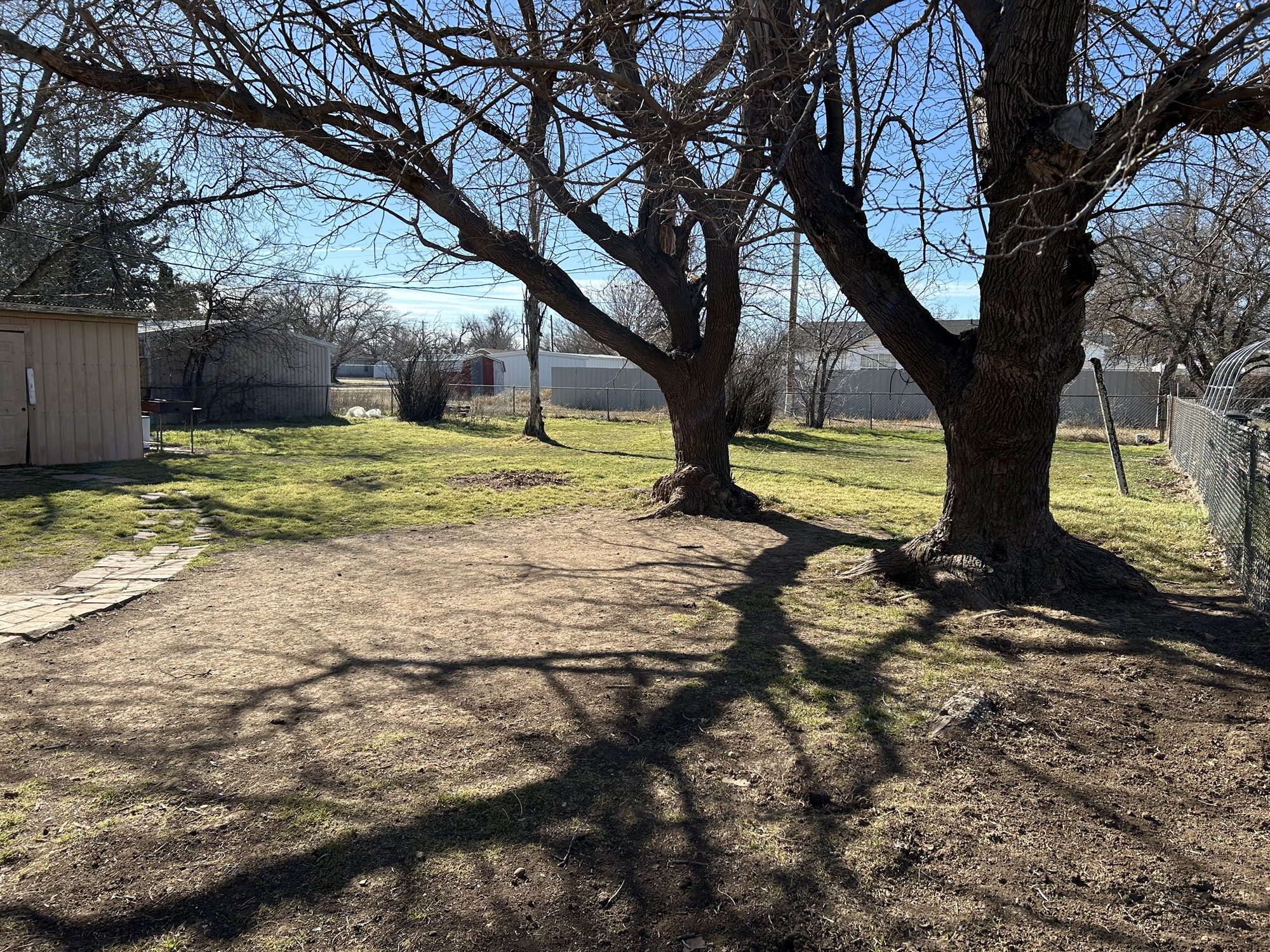 903 West 8th Street Quanah, TX 79252 - Photo 14 of 15 a view of a yard with plants and a tree