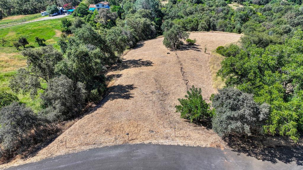 0 Glenview Road Newcastle, CA 95658 - Photo 20 of 87