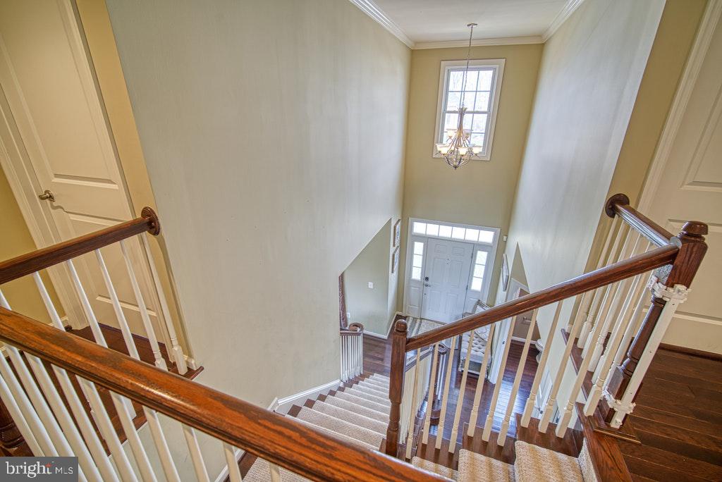 42391 Rising Moon Place Brambleton, VA 20148 - Photo 17 of 31 Gallery Image 17