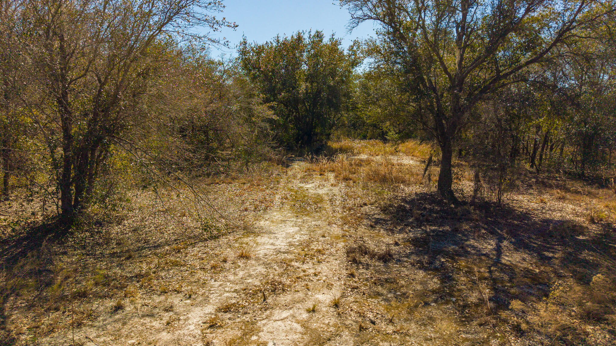 21486 Northwest 262nd Street Okeechobee, FL 34972 - Photo 6 of 22 HASSELBACH Drones-10