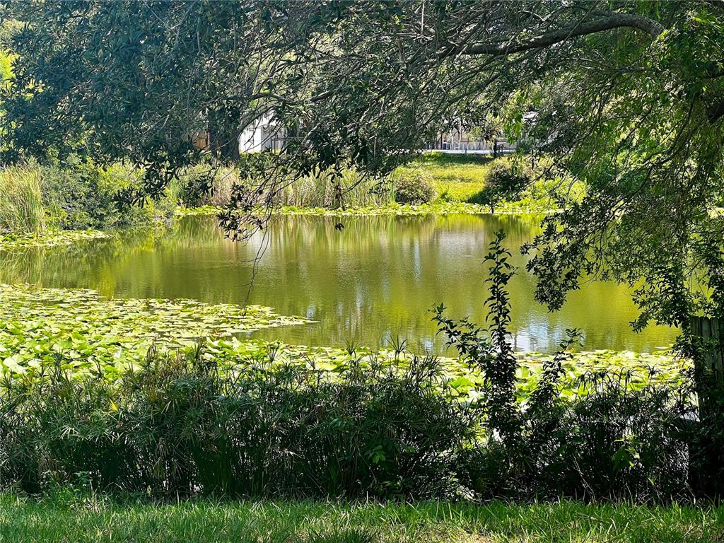 a view of a lake with a garden