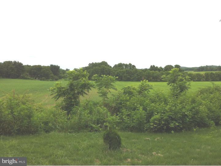 370 Spring Hill Road Riegelsville, PA 18077 - Photo 11 of 13