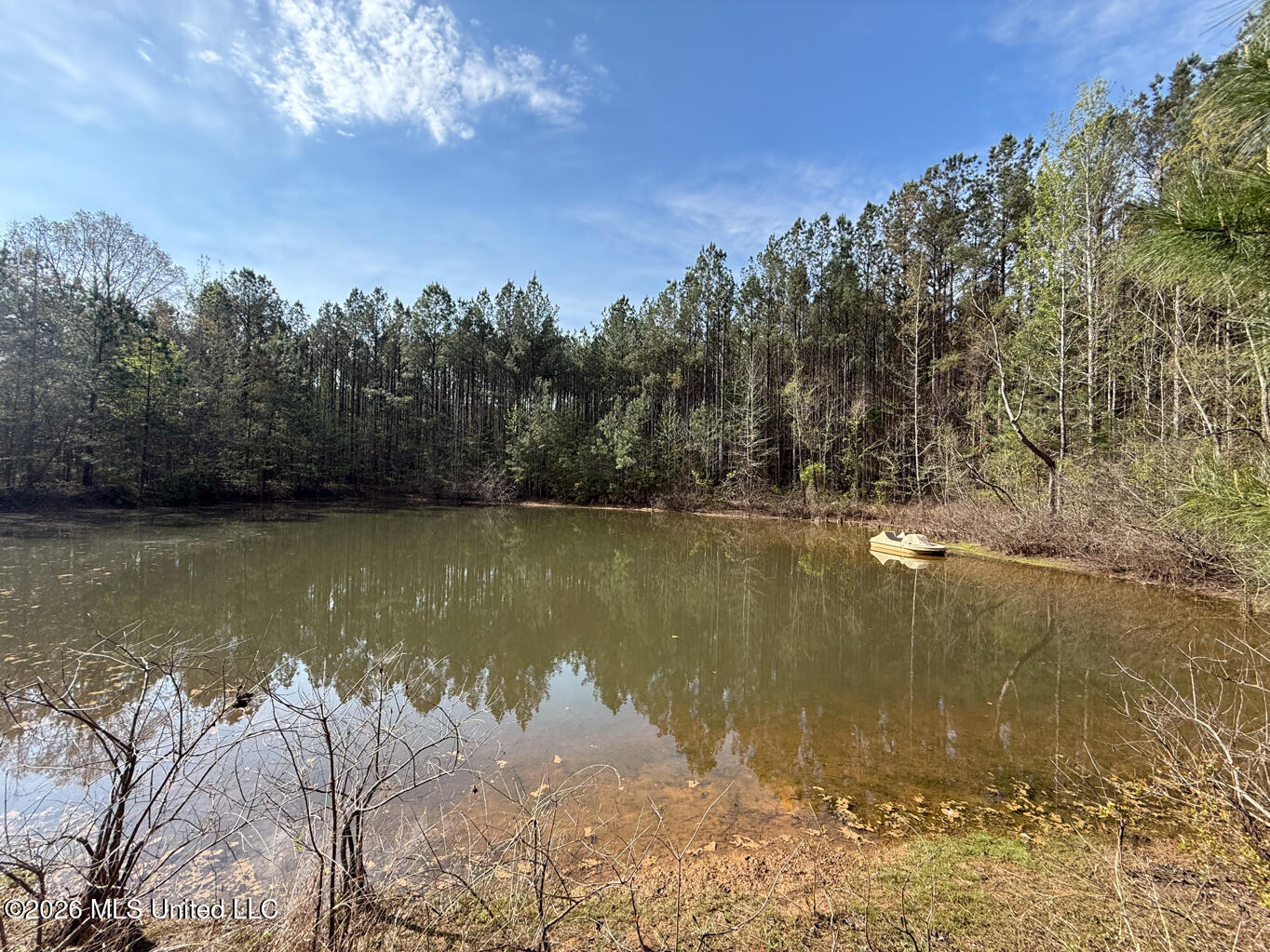 2893 Truesdale Road Carthage, MS 39051 - Photo 1 of 23 Leake 33-31
