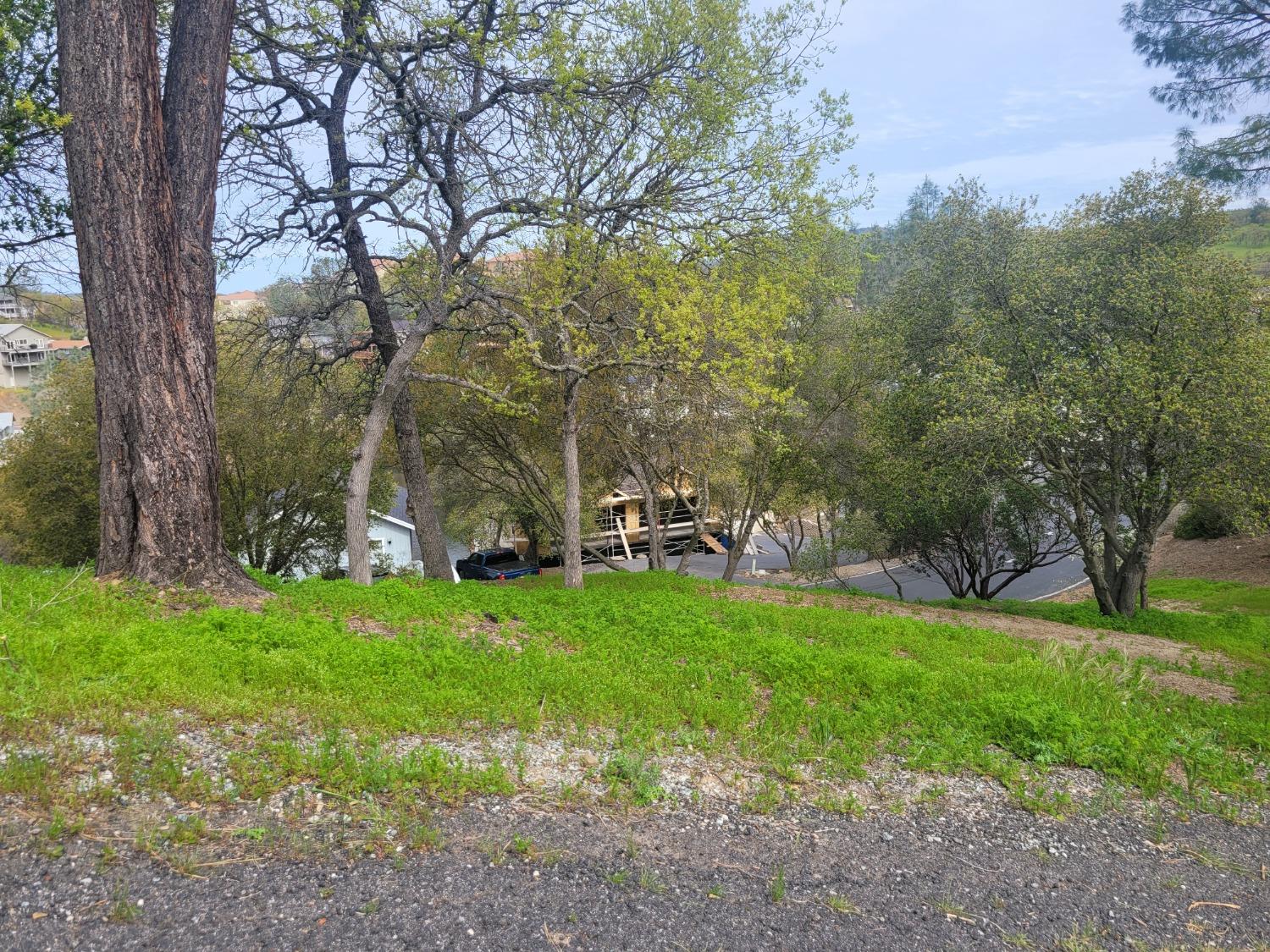 209 Oakhurst Court Copperopolis, CA 95228 - Photo 2 of 23