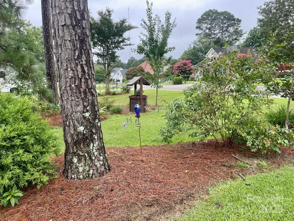 a view of a yard with plants and large trees