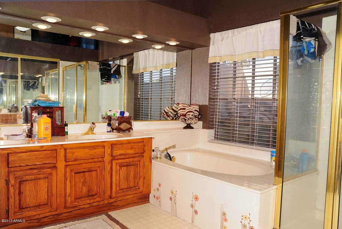 3914 East Night Hawk Way Phoenix, AZ 85048 - Photo 18 of 22 Master Bathroom