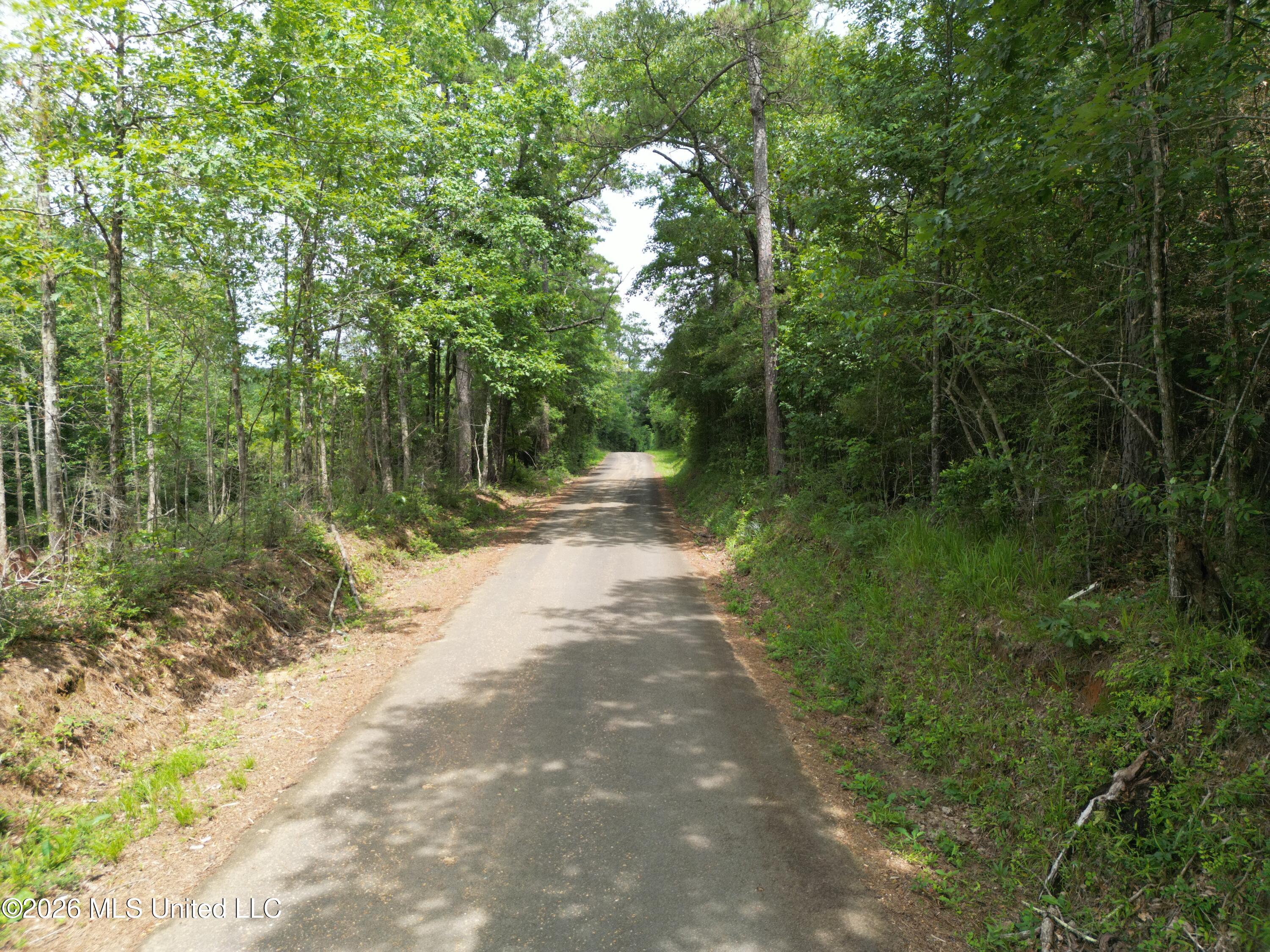 Summit Holmesville Road McComb, MS 39648 - Photo 18 of 29 DJI_0626