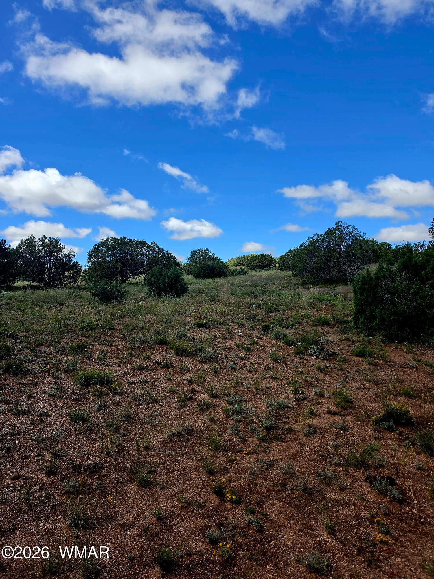 4428 Colt Road Snowflake, AZ 85937 - Photo 10 of 13 Gallery Image 10